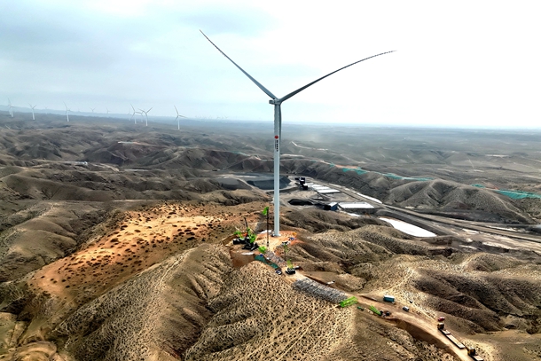 mmexport1762744667549_副本